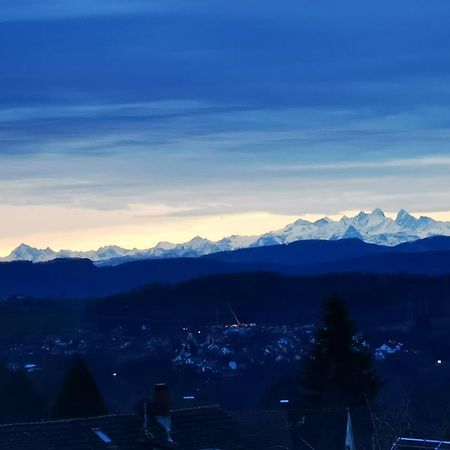 Alpenpanorama Haegelberg Daire Steinen  Dış mekan fotoğraf